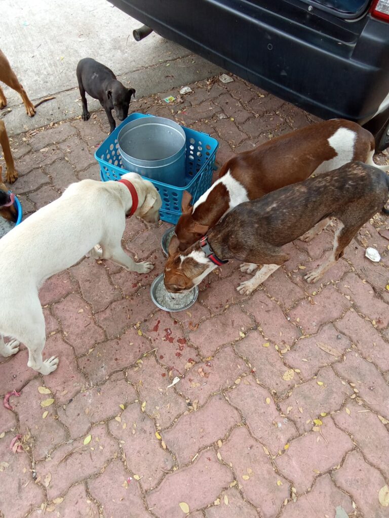 Whatsapp Image 2025 01 21 At 4.25.13 Pm
